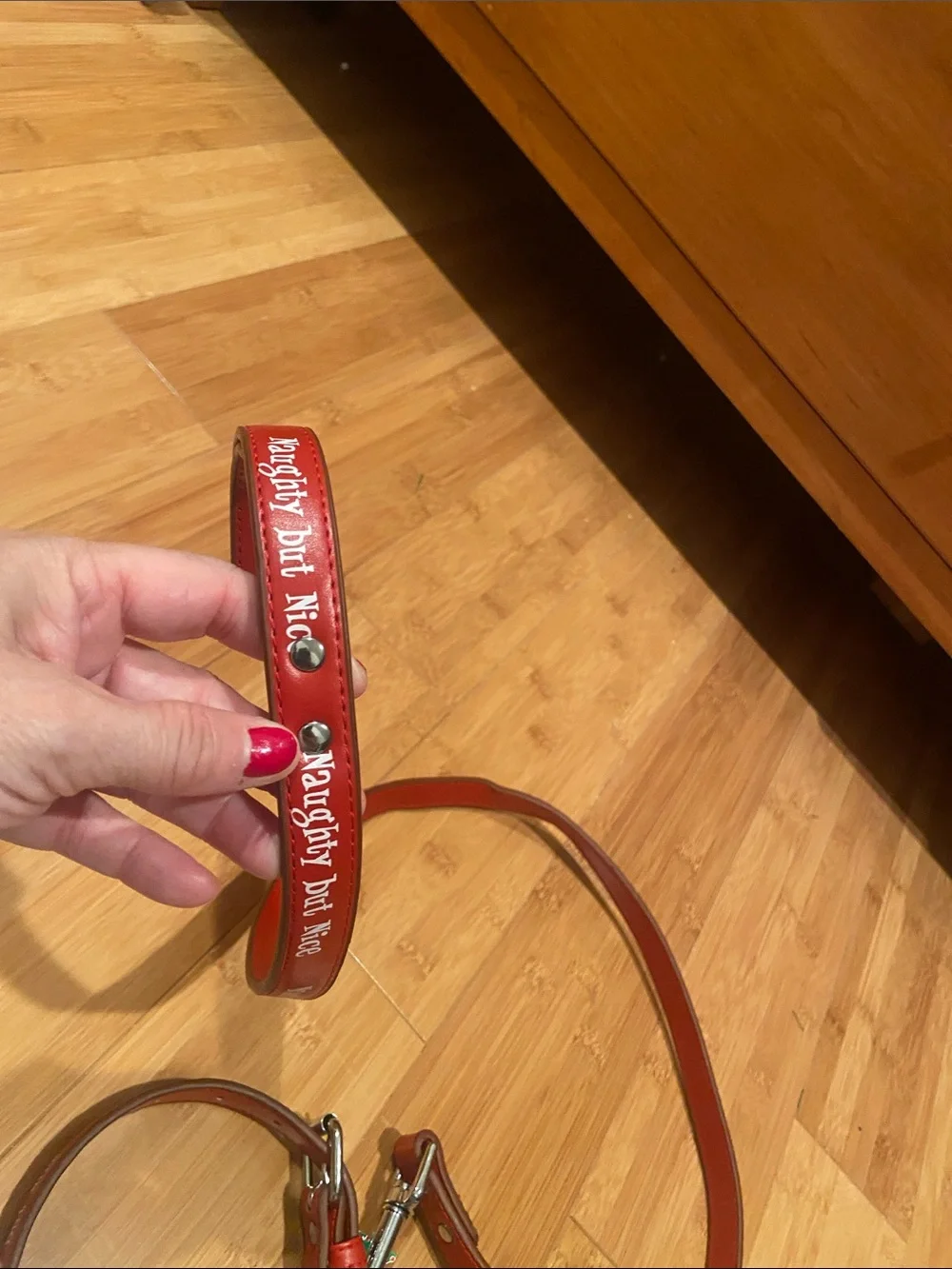 Small Dog Collar